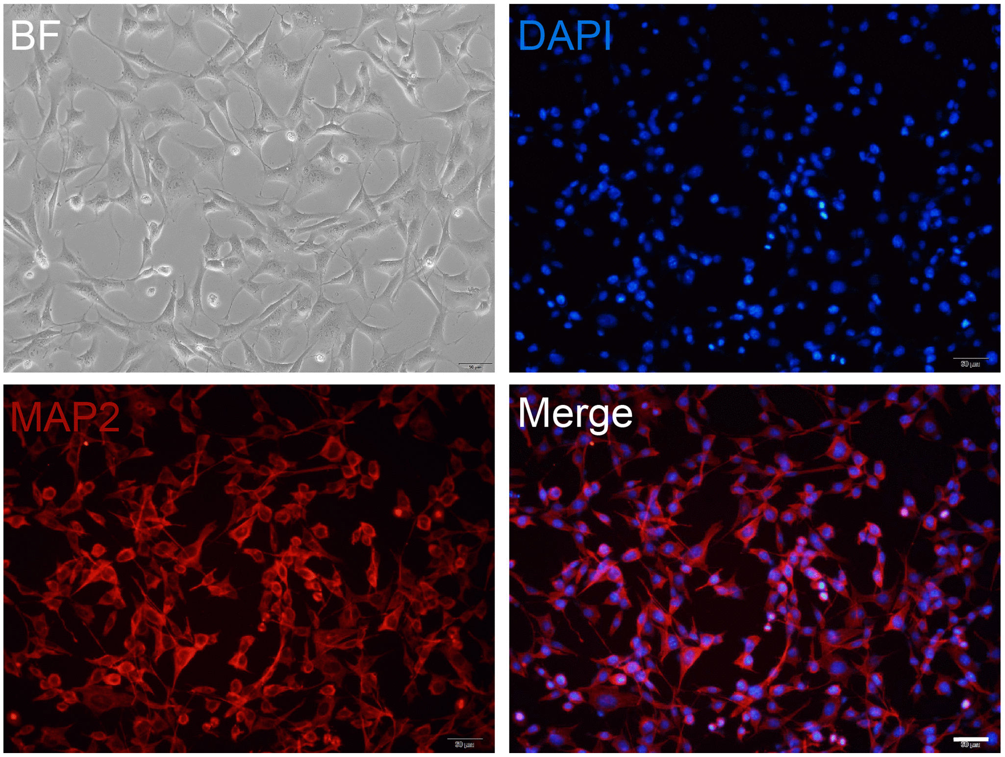 class="figure-viewer-img"