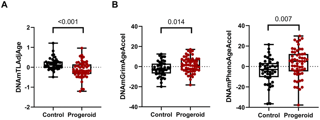 Comparison between controls and progeroid syndrome patients. (A) Boxplots show significant telomere attrition in patients with progeroid syndromes (n = 57) compared to controls (n = 44), as indicated by the differences in DNAmTLAdjAge. Statistical significance was assessed using a two-tailed Wilcoxon rank-sum test (also known as Mann-Whitney U test) and represented by p-values. (B) Epigenetic age acceleration between controls (n = 44) and progeroid syndrome patients (n = 57): Boxplots with individual data points illustrate epigenetic age acceleration, measured using the GrimAge and PhenoAge clocks. Statistical significance was assessed using a two-tailed Student's t-test. All boxplots show the median represented as a line inside the box that represents the interquartile range (IQR), while whiskers extending from the box show the minimum and maximum.
