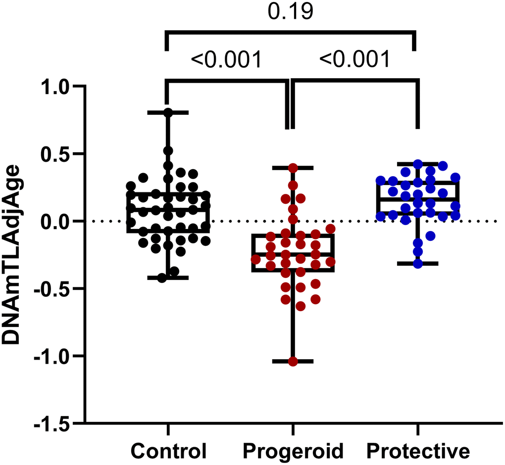 Comparison of DNAmTLAdjAge across various groups: boxplots illustrate the comparison of DNAmTLAdjAge across different groups, including controls older than 10 years (n = 42), progeroid patients older than 10 years (n = 33), and the protective group (n = 30). The protective group comprises individuals carrying various protective variants in APOE, PCSK9, and APOC3. Statistical significance was assessed using an ANOVA test.