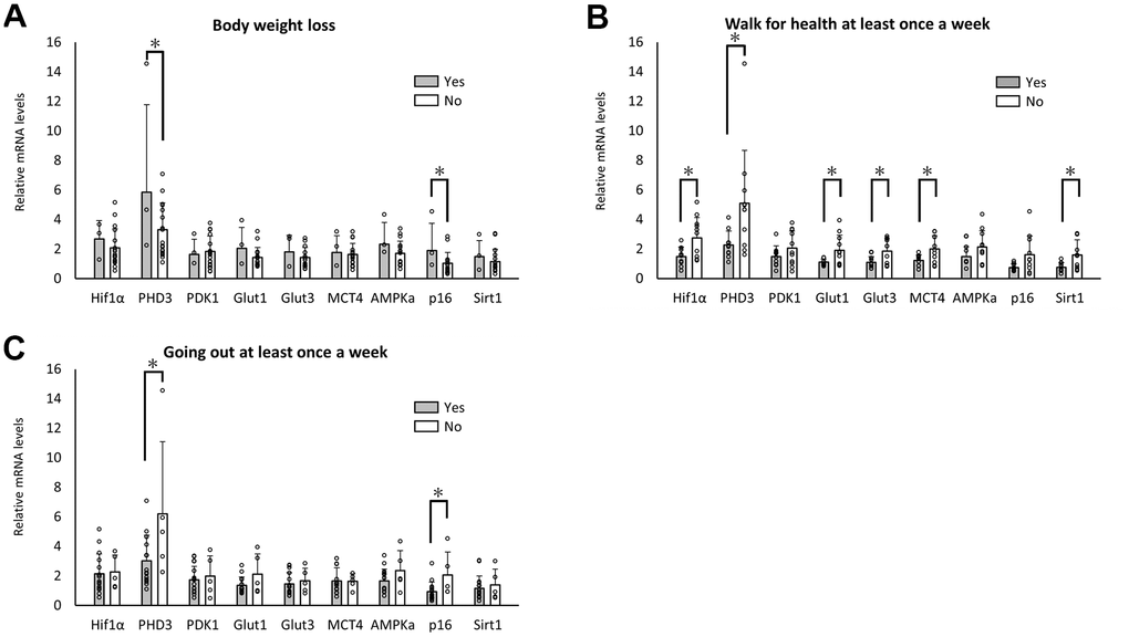 Changes in RNA expression with body weight loss and weekly exercise. Significant differences in RNA expression levels between aged individuals with and without body weight loss (A), walking habits (B), and going out at least once per week (C). *pA–C).