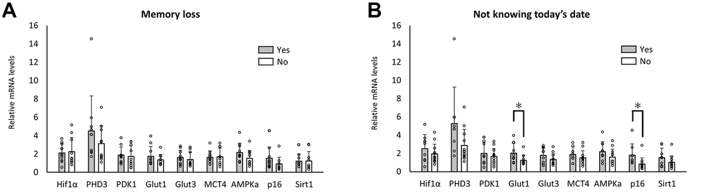 Changes in RNA expression pattern in elderly with cognitive impairment. No significant difference in the level of RNA expression related to memory loss (A). A significant difference in RNA expression levels was observed when reporting knowledge of today’s date (B). *pB).