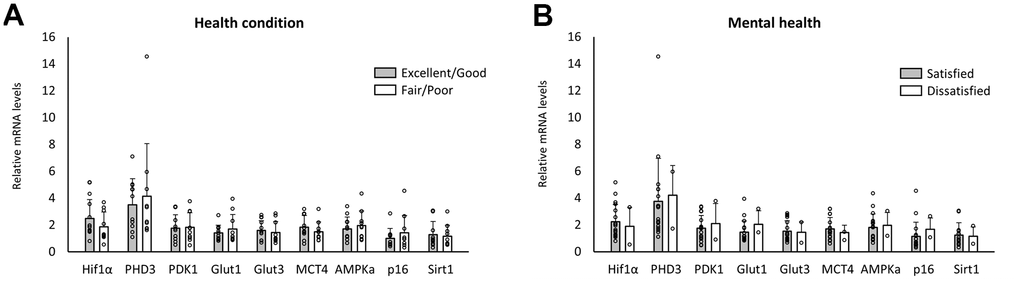 Changes in RNA expression pattern with the other inquiries. No significant differences were seen in the level of RNA expression between the elderly with and without reporting health conditions as excellent or good (A) and satisfied or moderately satisfied with daily life (B).