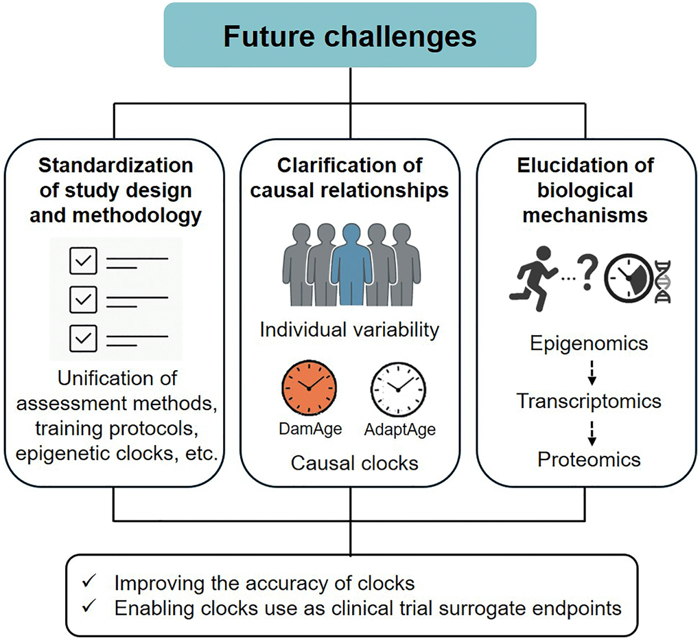 Future challenges overview.