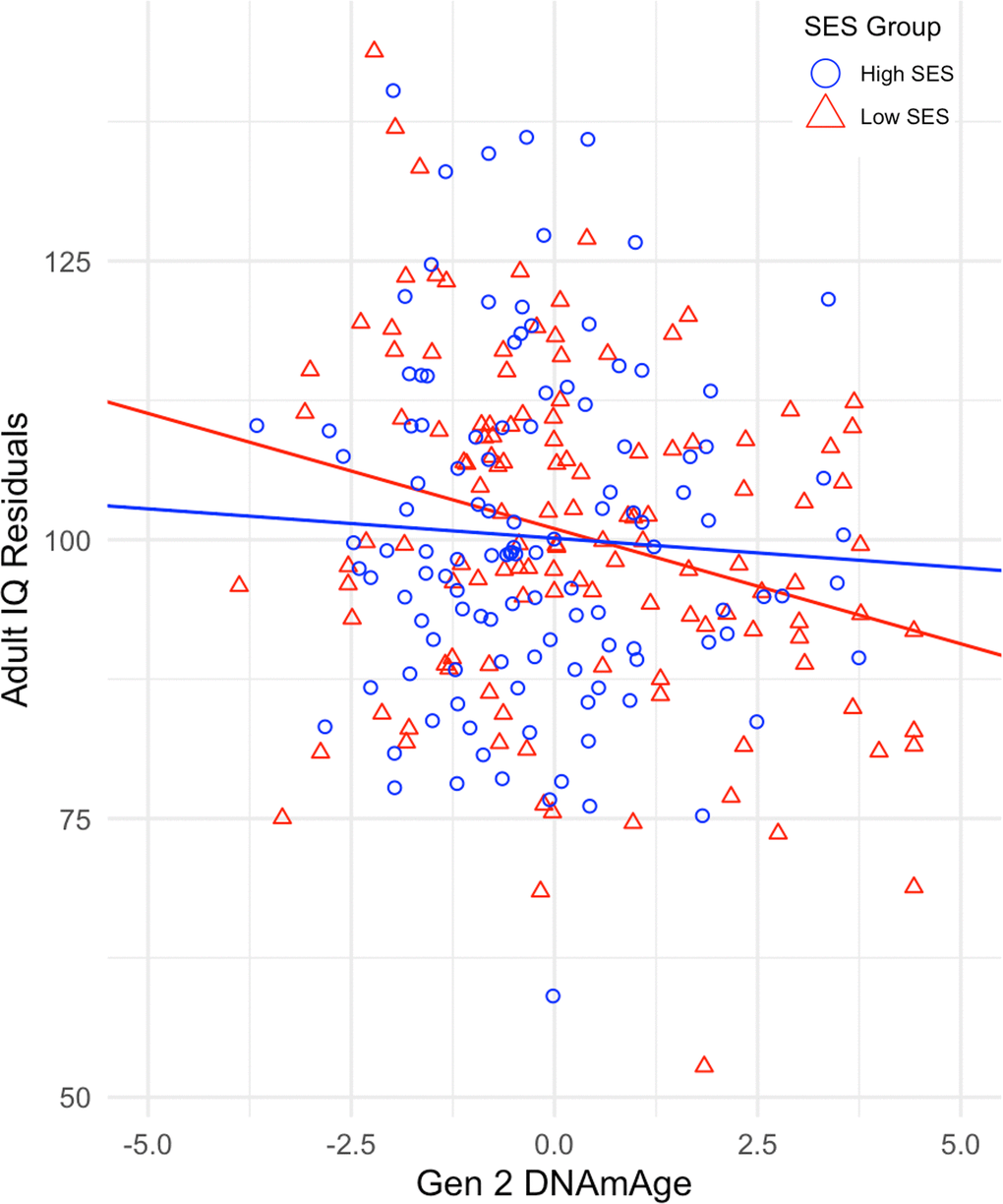 Regression of Adult IQ residuals on Gen 2 DNAmAge for high and low SES groups. IQ residuals are derived from the regression of adult IQ on childhood IQ and childhood socioeconomic status.