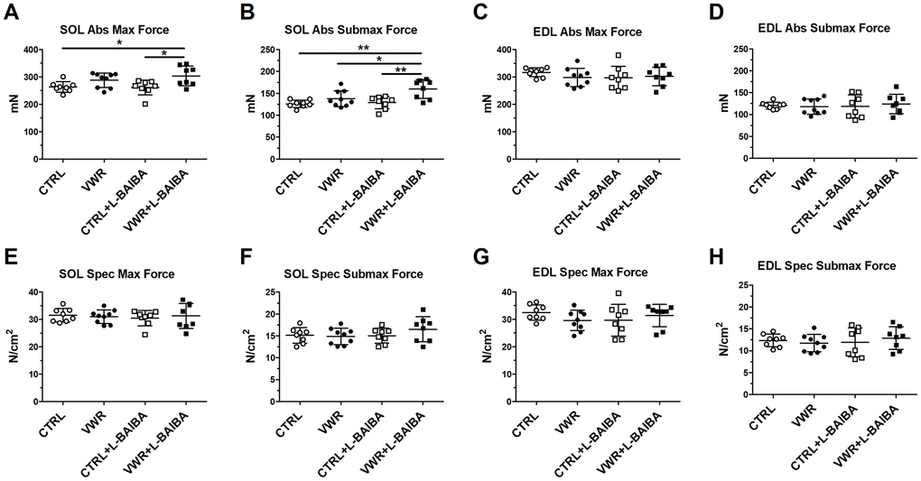 Ex vivo muscle contractile force after the three-month intervention period. Soleus (SOL) absolute maximal contractile force (A) and absolute submaximal contractile force (B). EDL absolute maximal contractile force (C) and absolute submaximal contractile force (D). Soleus specific maximal contractile force (E) and specific submaximal contractile force (F). EDL specific maximal contractile force (G) and specific submaximal contractile force (H). **pp