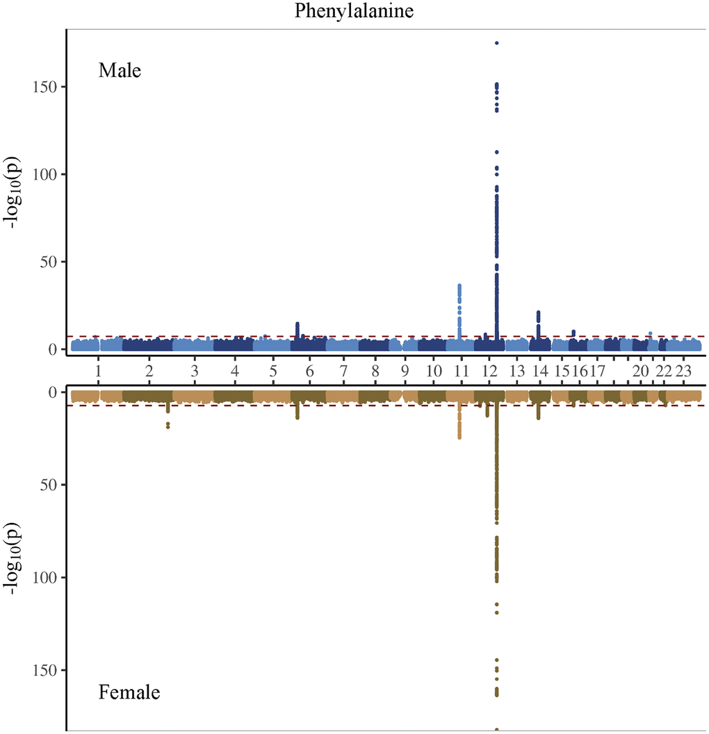 Manhattan plot on the genome-wide association study of phenylalanine in men and women.