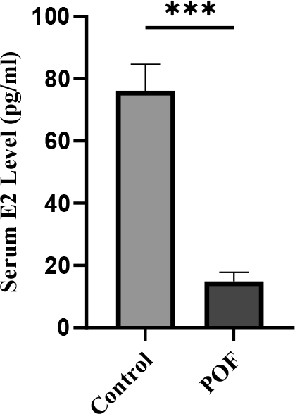 Serum estradiol (E2) levels measured 3 weeks after POF induction in CTX (100 mg/kg)/Bu (20 mg/kg)-treated mice compared with control group. Data are presented as mean ± SD; p 