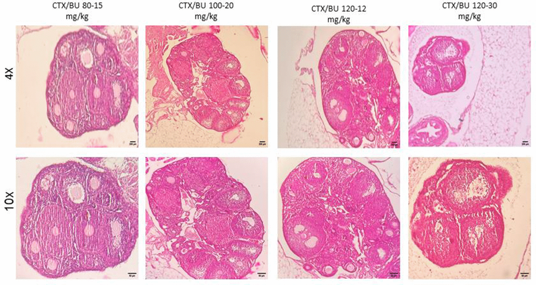 class="figure-viewer-img"