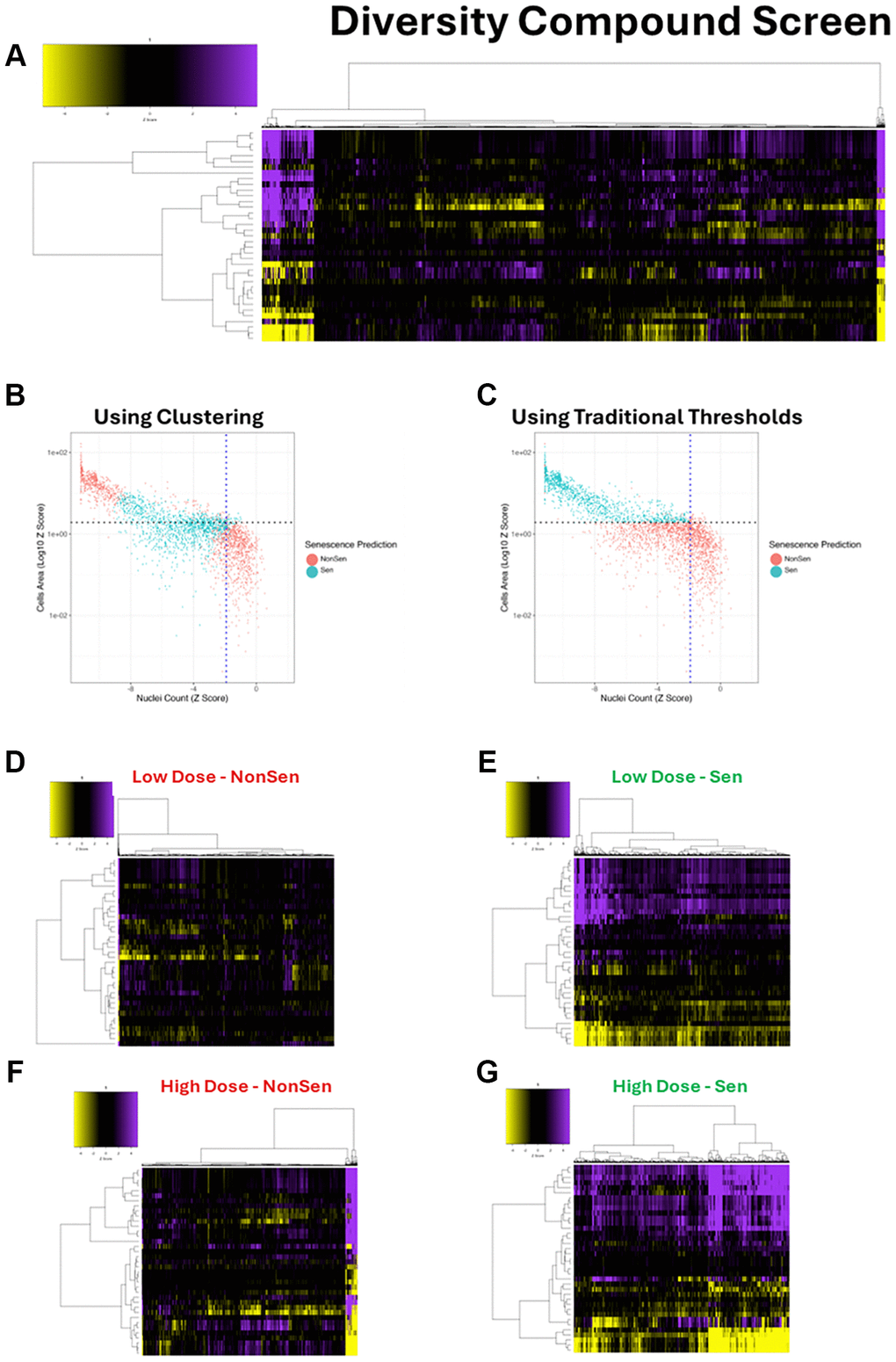 Diversity library compound screen. (A) Heatmap representing high content analysis feature (HCA; y-axis) profiles of a compound diversity library screen (Compounds; x-axis) performed in MB-468 cells. (B, C) Scatter plots showing Z-scores of nuclear count and cell area (log10) for all compound treatments. Points are coloured Non-Senescent (red) or Senescent (blue) according to SAMP-Score classification based on models constructed with either cluster based or traditional threshold-based data labelling. (D–G) Heatmap profiles for treatments classified as either Non-Senescent (NonSen) or Senescent (Sen) by SAMP-Score at both low (10 μM) and high screening doses (50 μM). In all heatmaps, purple indicates positive modulation and yellow negative modulation of greater than 1.96 Z-scores from DMSO vehicle control. Black indicates no change.