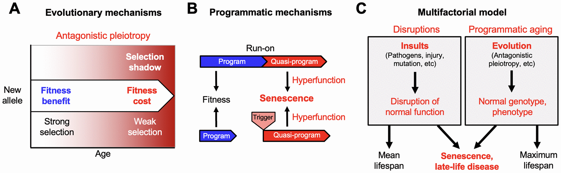 class="figure-viewer-img"