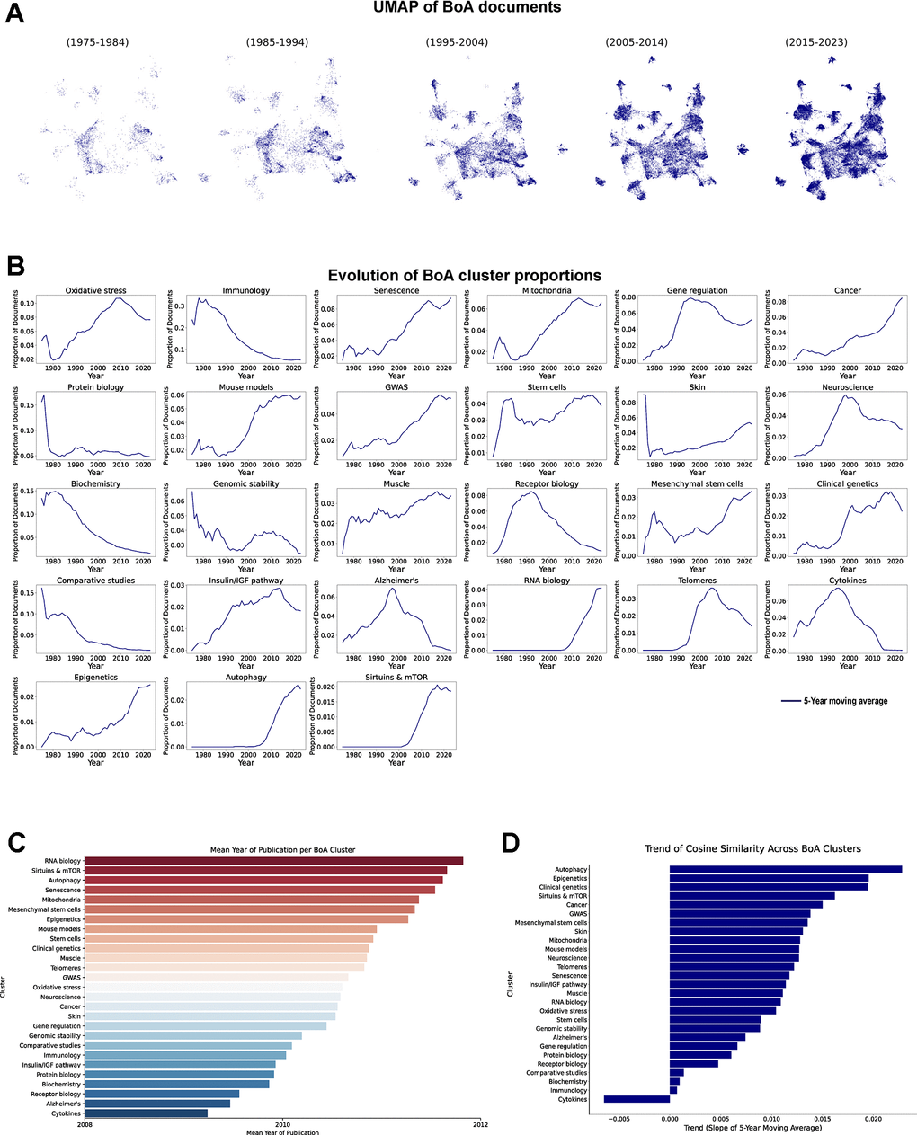Temporal evolution of BoA research clusters. (A) UMAP of vectorized documents distributed in decades. (B) Evolution of BoA cluster proportions, each line represents the 5-year moving average of each cluster proportion (1975-2023). (C) Mean publication year of the documents in each cluster. (D) Cosine similarity trend analysis across clusters, results represent the slope of the 5-year moving average of the changes in cosine similarity within each cluster (1975-2023).