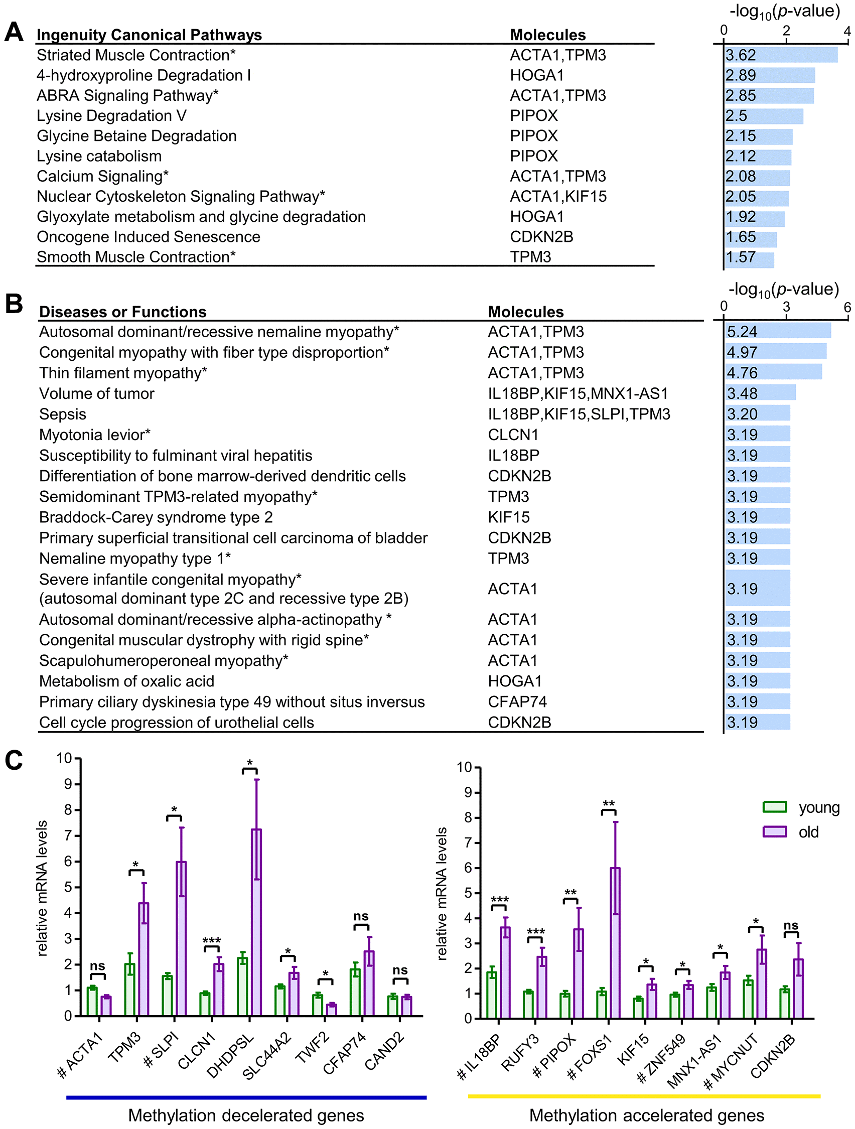class="figure-viewer-img"