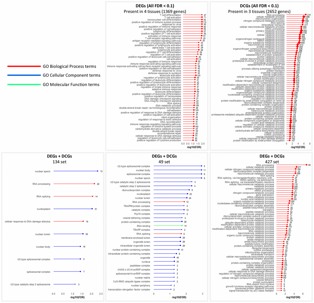 GO enrichment analysis of intersection sets. Terms significant at FDR 
