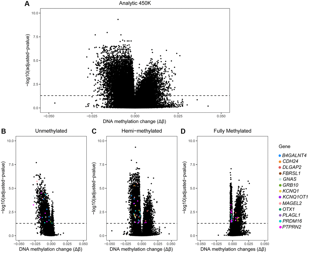 Volcano plots of 450K data by age in sperm. Volcano plots of our age-association study on the 450K array. X-axis: Delta β-values (Δβ) representing age-associated changes in DNA methylation (after linear regression, adjusted for BMI and patient status). Y-axis: logarithmic transformation of the adjusted p-value (BH-method). Dashed line: indicates where the adjusted p-value is 0.05; dots above the dashed line represent CpG sites where sperm DNA methylation is significantly associated with male age. (A) All sites of the 450K are included (n = 482,287) and dots above the dashed line are age-associated DMCs (n = 14,622). (B–D) Volcano plots by subgroup of DNA methylation. Colored dots: significant age-related DMCs mapped to genes selected by their potential role in inheritance of ASD from father to child; these include: OTX1, PRDM16, PTPRN2, B4GALNT4, KCNQ1, KCNQ1OT1, DLGAP2, PLAGL1, GNAS, GRB10, MAGEL2, CDH24 and FBRSL1. Each colored dot represents one DMC; multiple dots with same color are allocated to the same gene.