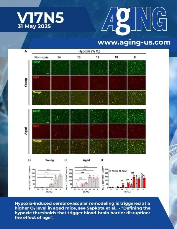 The cover features Figure 1 "Hypoxia-induced cerebrovascular remodeling is triggered at a higher&nbsp;O2&nbsp;level in aged mice" from Sapkota et al.